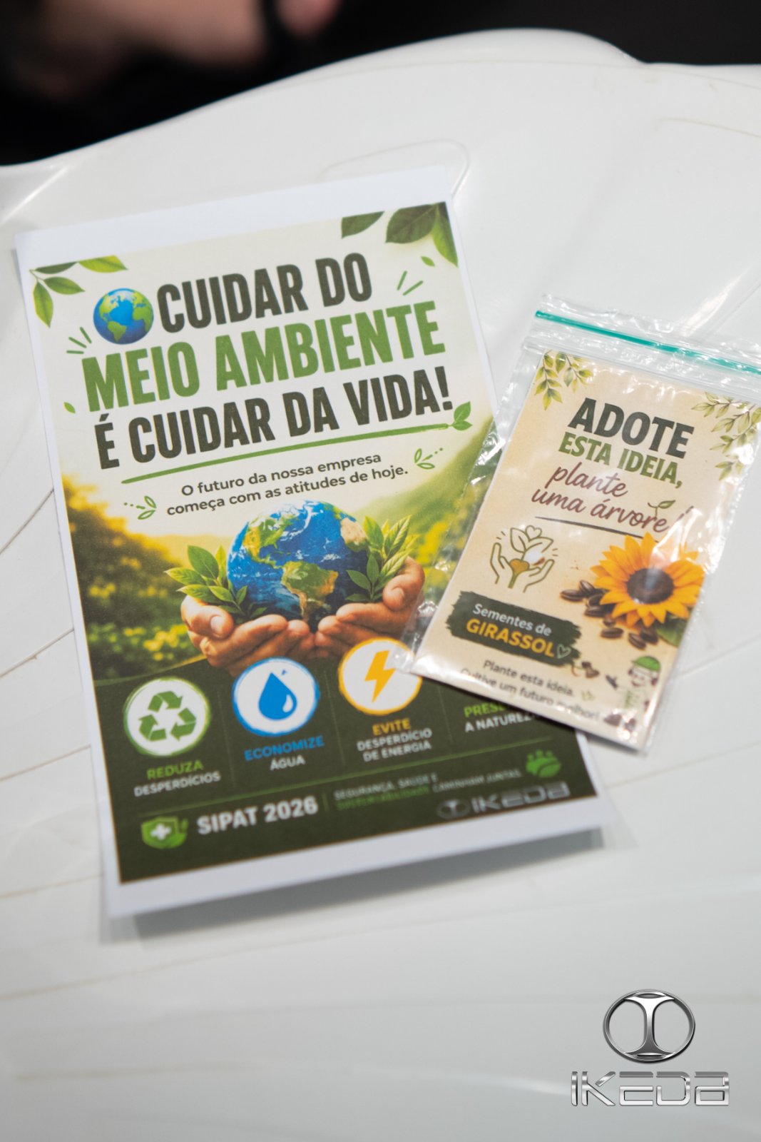 Foto 3 da notícia